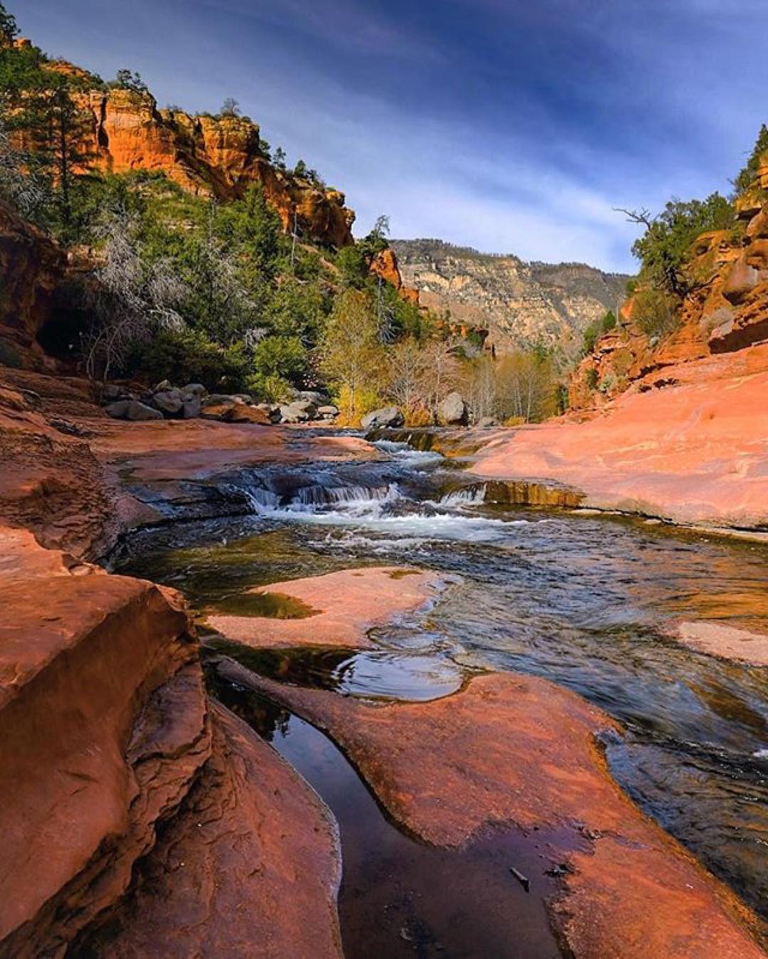 15802352_223140241479182_8214142618800488448_n