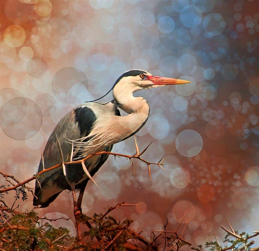 20100926_17012342_pe